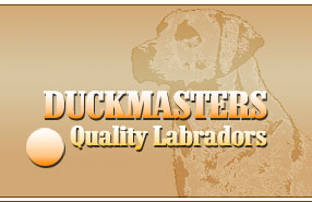 Duckmasters Labs Logo