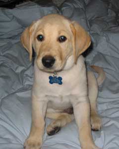 Tucker