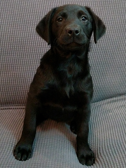 Orange girl at 11 Weeks Old