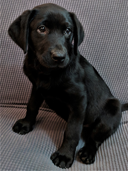 Orange girl at 11 Weeks Old