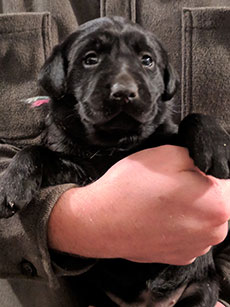 Rainbow Black Girl 28 Days Old